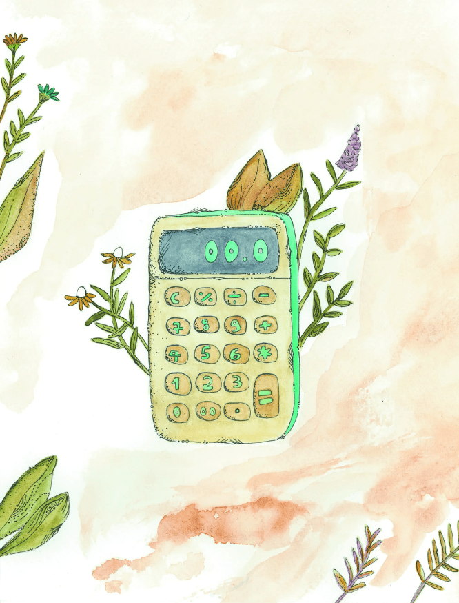 Eu sei gerir dinheiro | Livro 3 | Coleção de literacia financeira para crianças e jovens